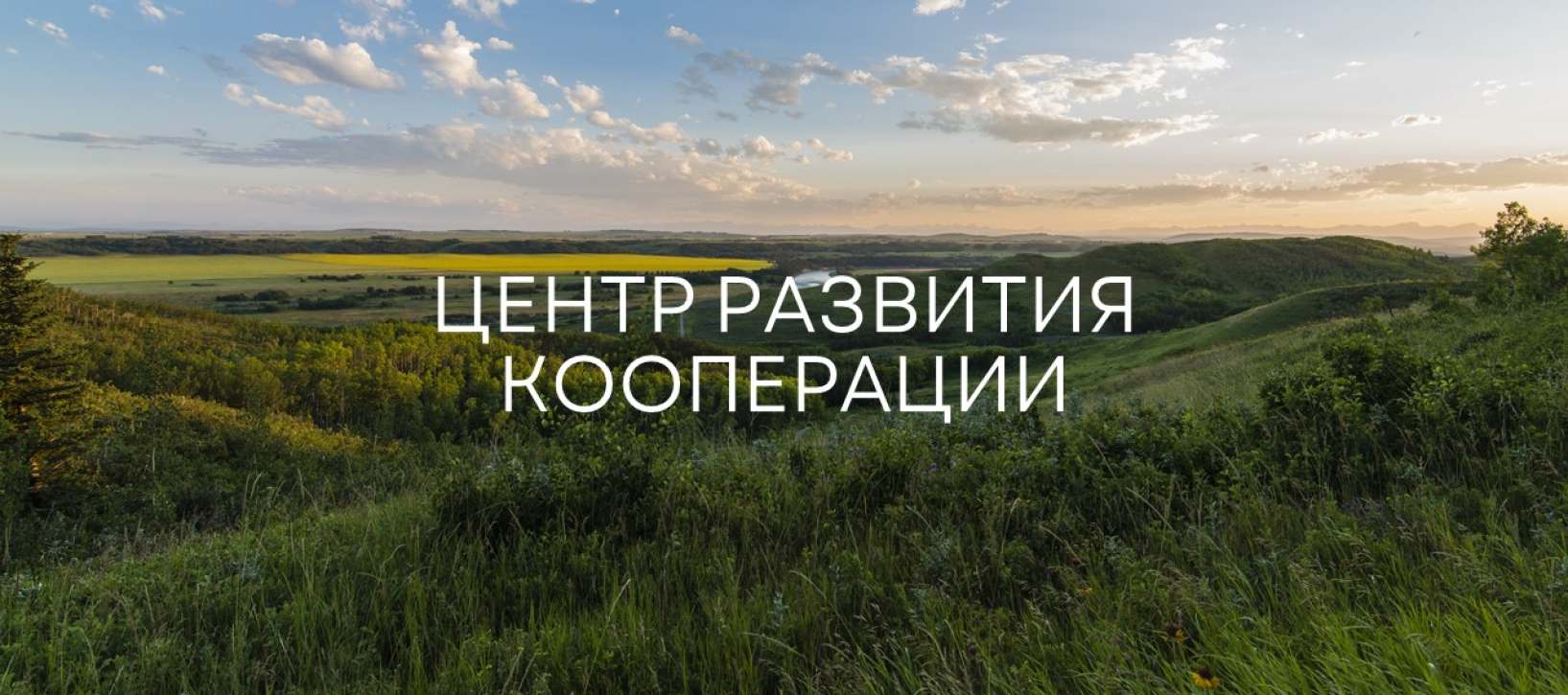 Баннер ЦРК